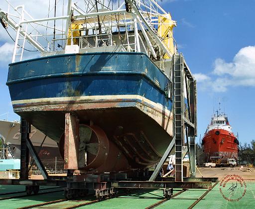 Darwin Dry Dock 9P001D-085.JPG